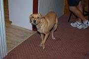 20080808-0261